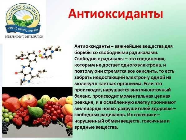 Антиоксиданты: польза, вред и лучшие источники для организма