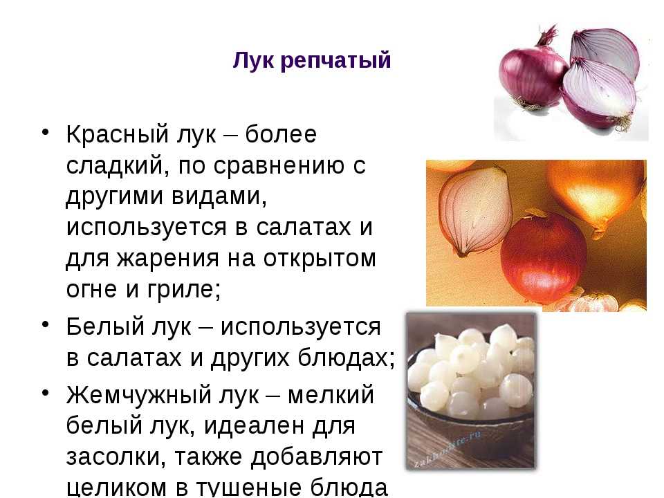 Зеленый лук чем полезен для организма? :: syl.ru
