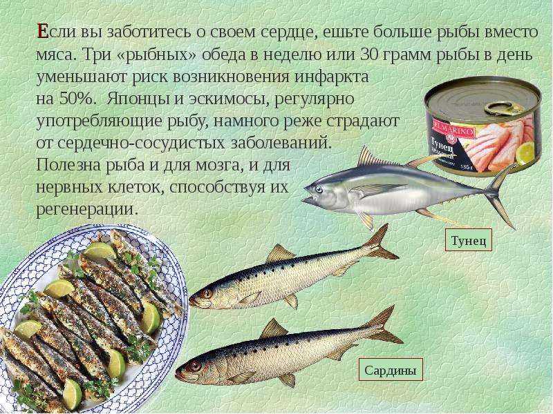 Угорь: что за рыба, где водится, описание, фото, польза и как приготовить