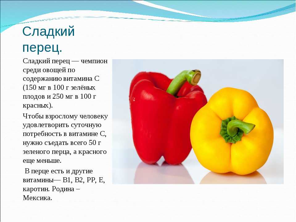 6 интересных фактов о болгарском перце — zira.uz
