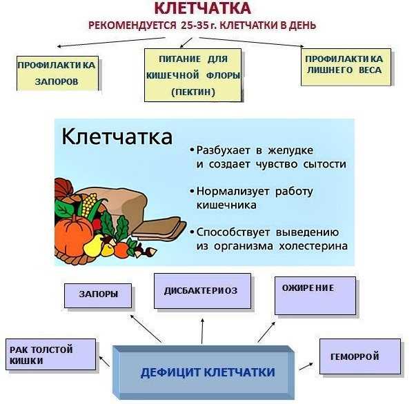 Избыточный бактериальный рост в тонкой кишке – синдром излишнего бактериального роста (сибр, sibo)