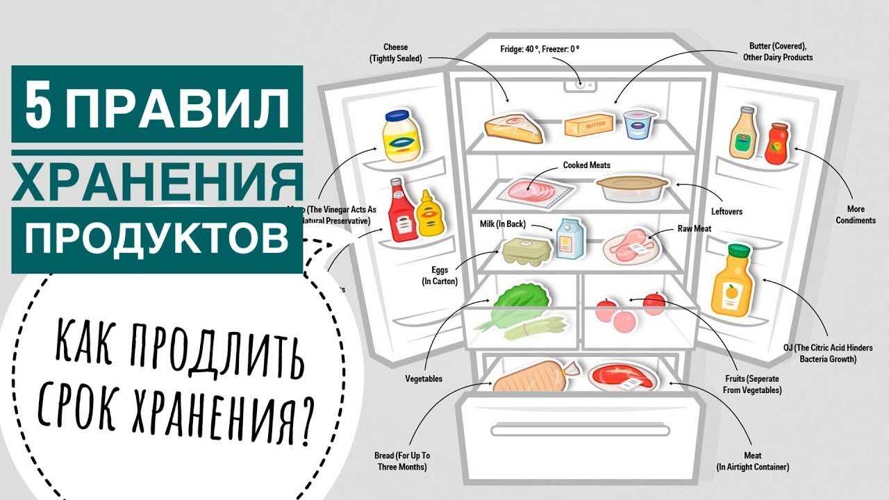Как правильно хранить продукты в холодильнике? как хранить нельзя?