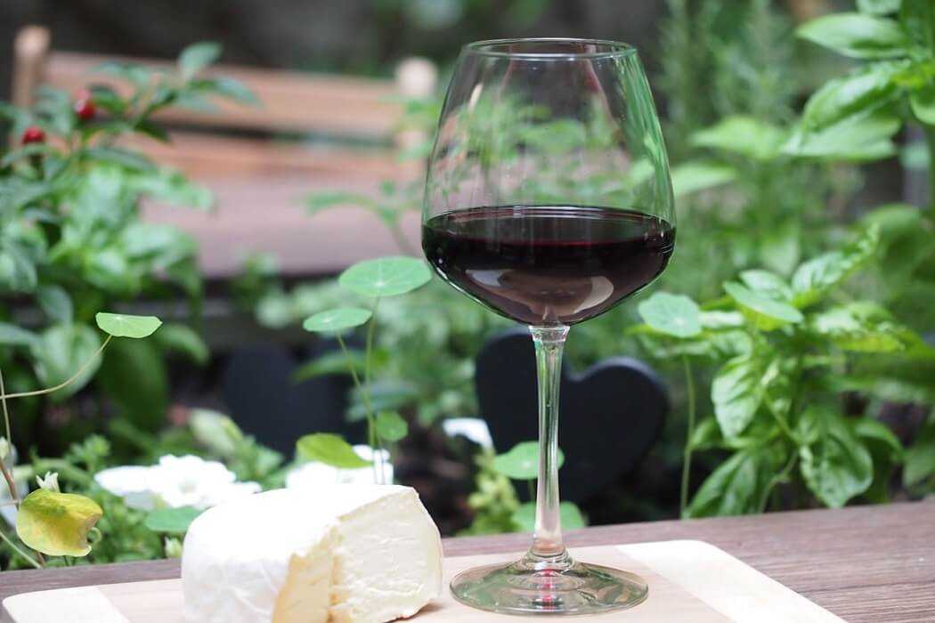Биодинамическое и органическое вино — что это такое и чем отличается