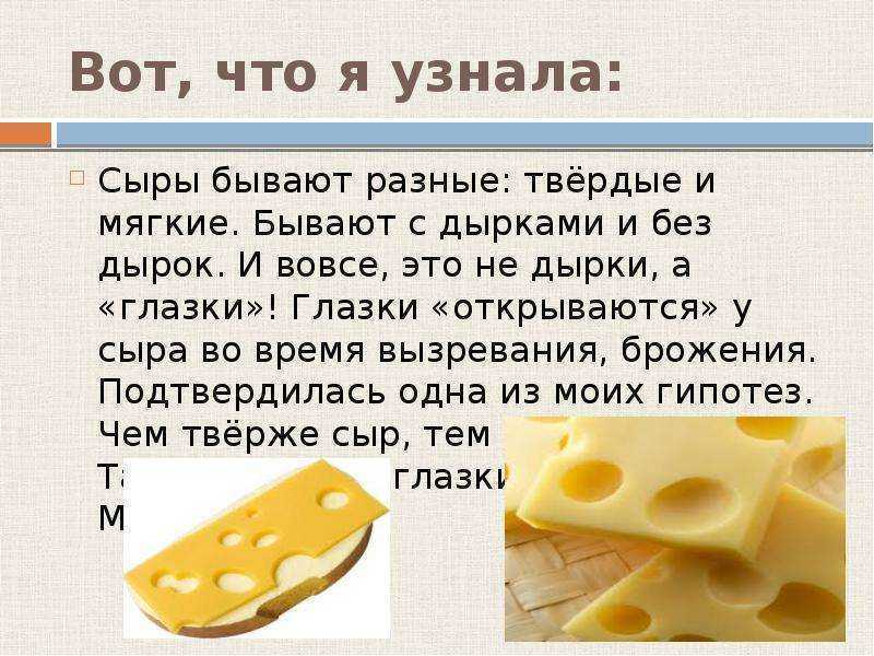 Польза сыра с плесенью для организма