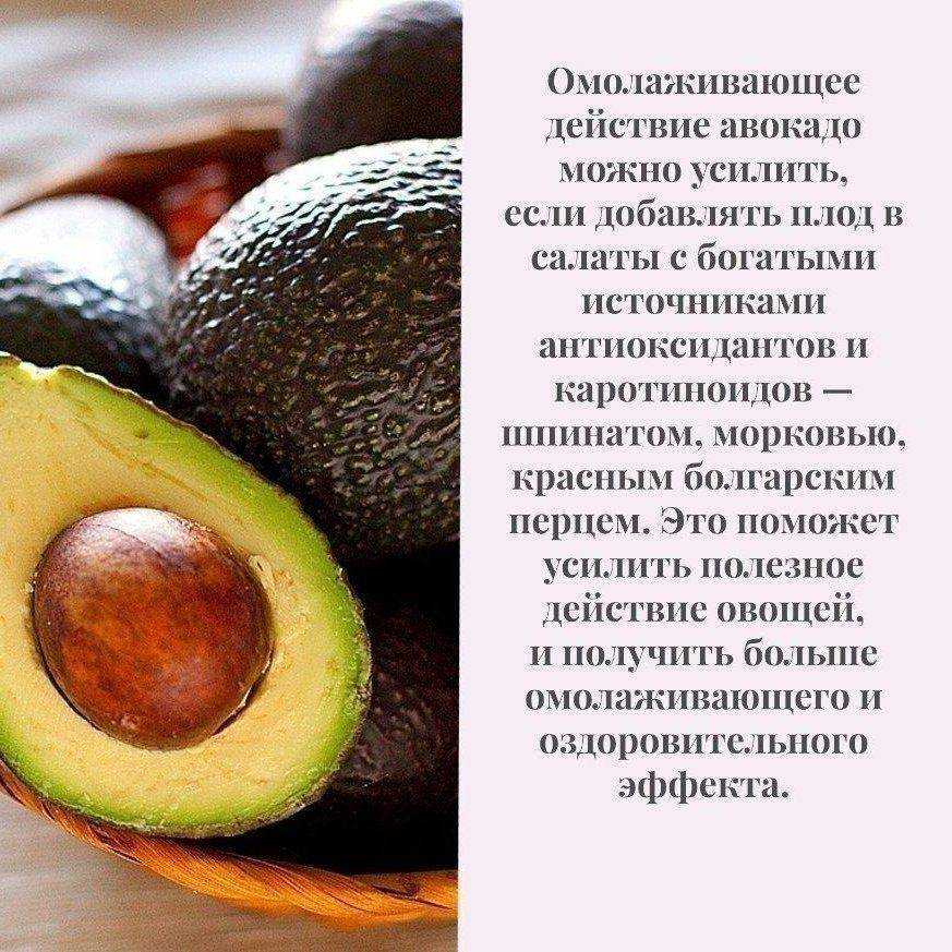 Калорийность авокадо на 100 грамм, в 1 шт., польза, вред продукта