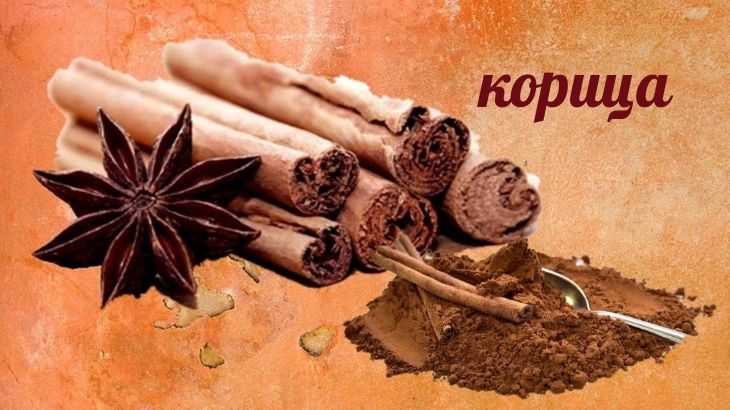 Корица: польза и вред, полезные свойства для здоровья, противопоказания к применению, как растет настоящая, виды палочек (кассия, цейлонская)