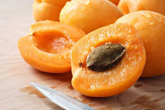 Косточки абрикоса: полезные свойства и вред