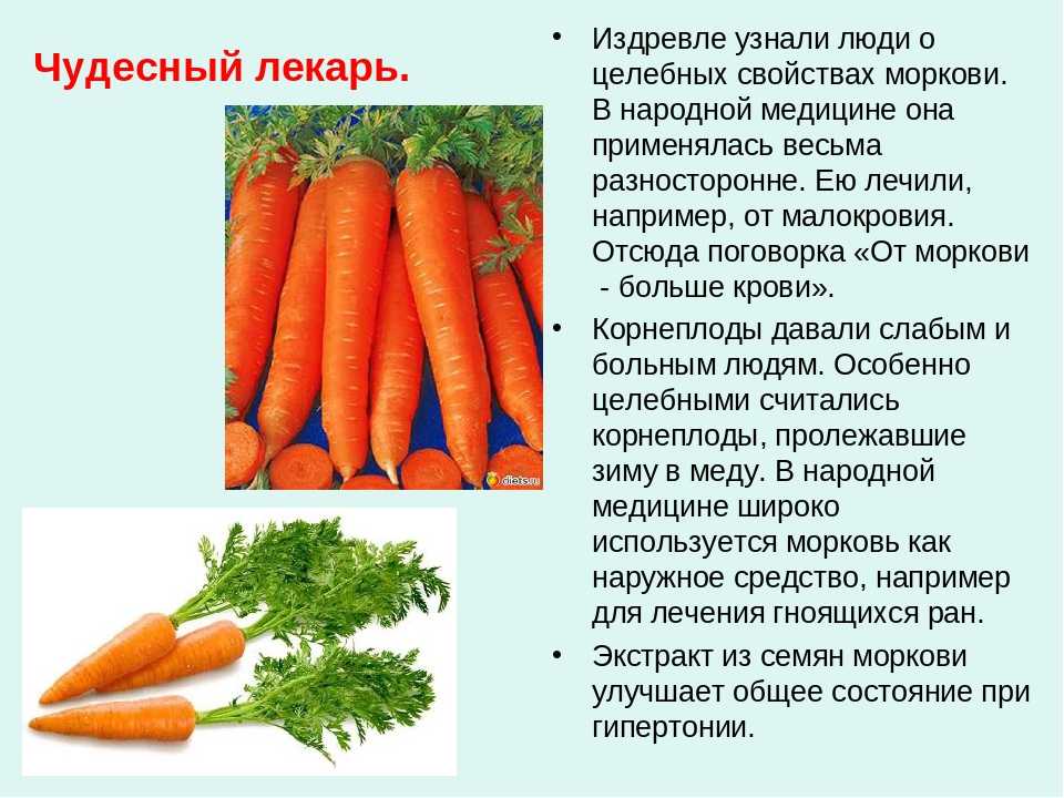 Морковь варёная - калорийность, полезные свойства, польза и вред, описание