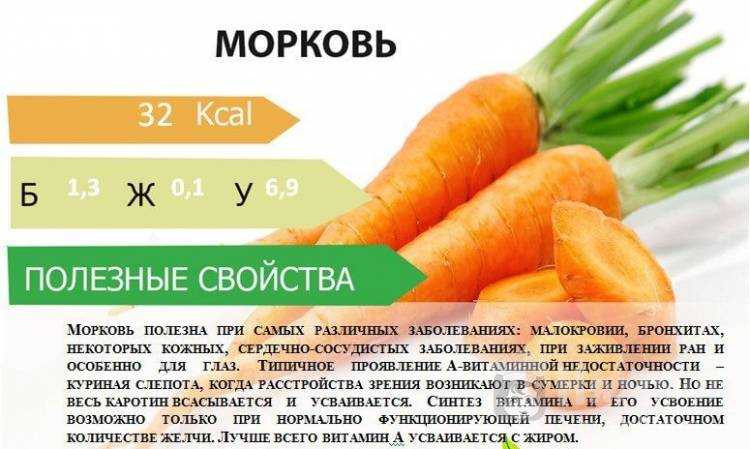 Морковь: польза и вред для организма, сколько нужно съесть