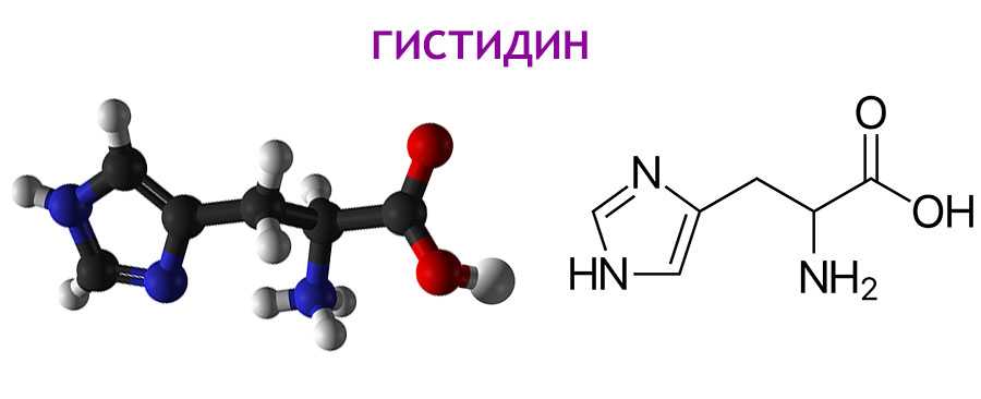 T me 129516 gen. Гистидин аминокислота формула. Гистидин аминокислота структурная формула. Строение аминокислоты гистидин. Гистидин формула химическая.