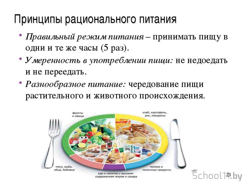 Кормим детей правильно: сбалансированное питание от а до я :: polismed.com