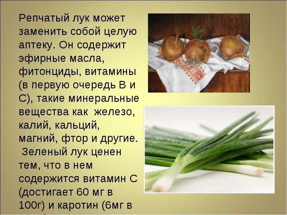 Зеленый лук – использование в кулинарии. польза и вред.
