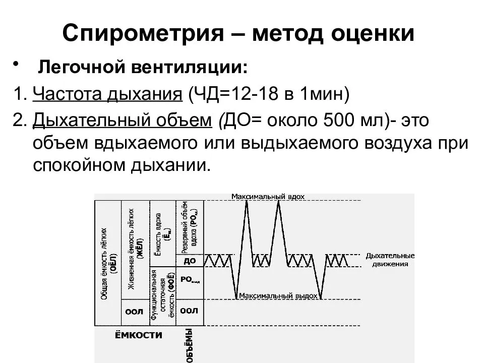 Спирометрия (фвд) на васильевском острове санкт-петербурга