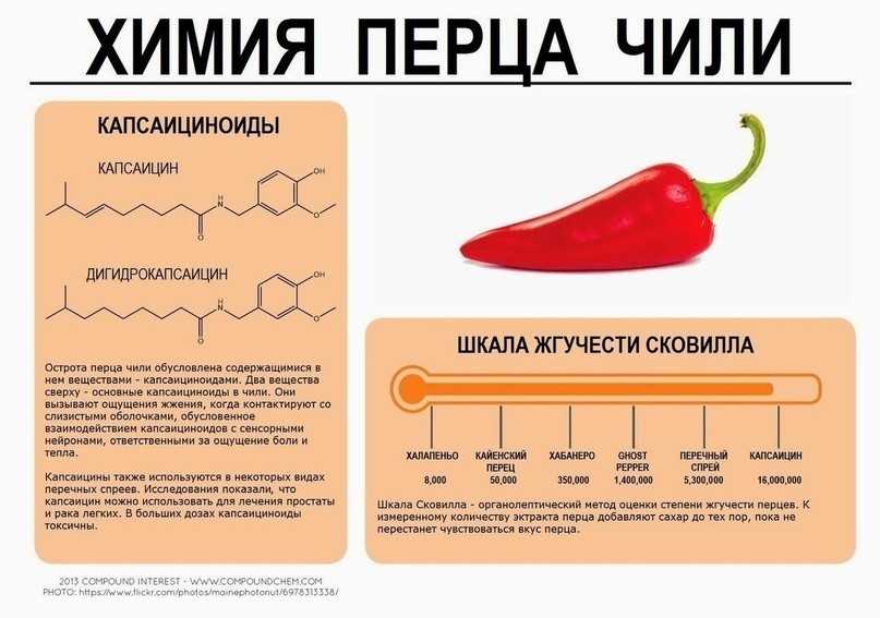 Перец красный - польза и вред для организма в сыром и сушеном виде