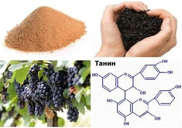 Общие сведения о пищевых добавках