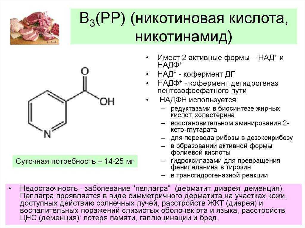Витамин pp - никотиновая кислота