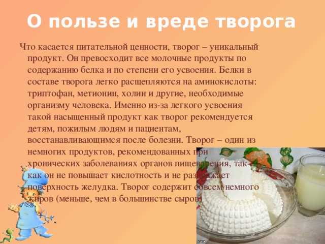 Польза и вред творога- состав белков, жиров и углеводов, витаминов