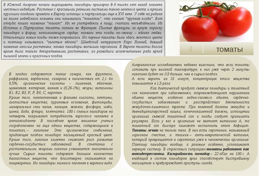 Сколько калорий в 2 помидорах. Полезные вещества в томатах. Основные полезные вещества в помидорах. Продукты помидоры. Чем полезен плод помидора.