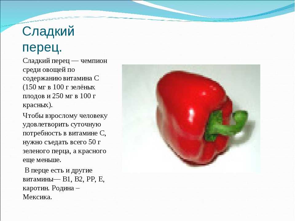 Перец болгарский (стручковый сладкий) - описание, полезные и вредные свойства, состав, калорийность