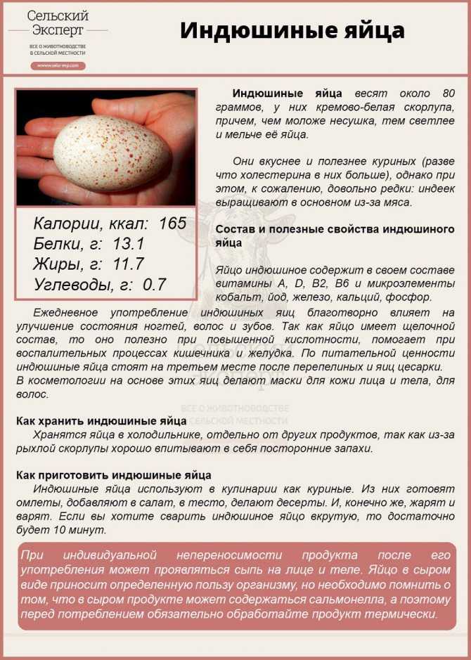 Польза и вред индюшиных яиц