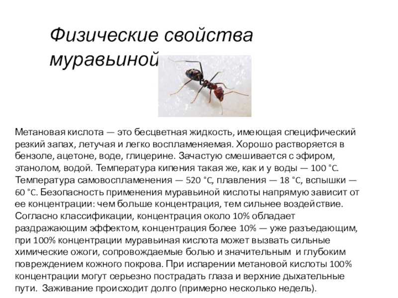Свойства муравьиной или метановой кислоты при применении в природе, медицине, химии