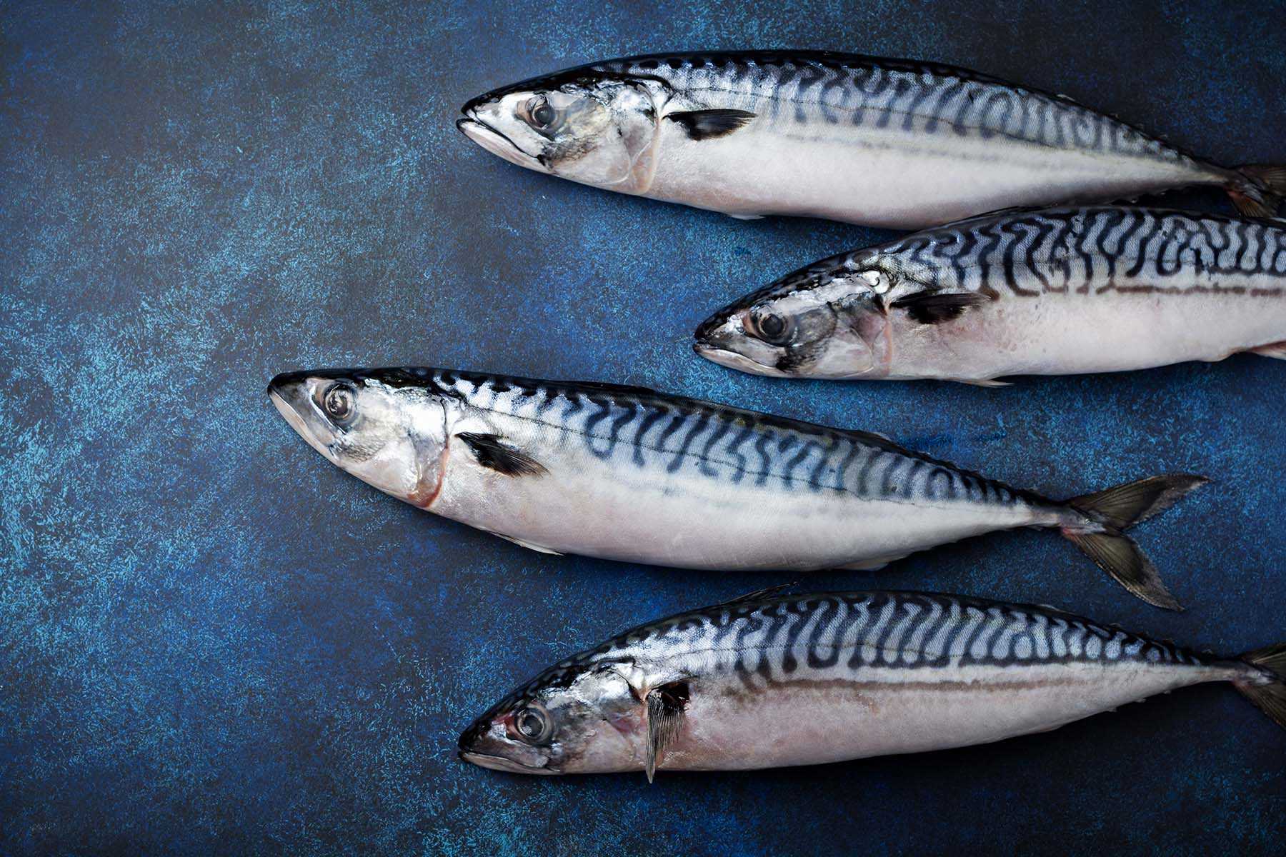 Молоки лососевых рыб: 8 пп рецептов приготовления — как превратить обычный субпродукт в изысканное, но полезное блюдо