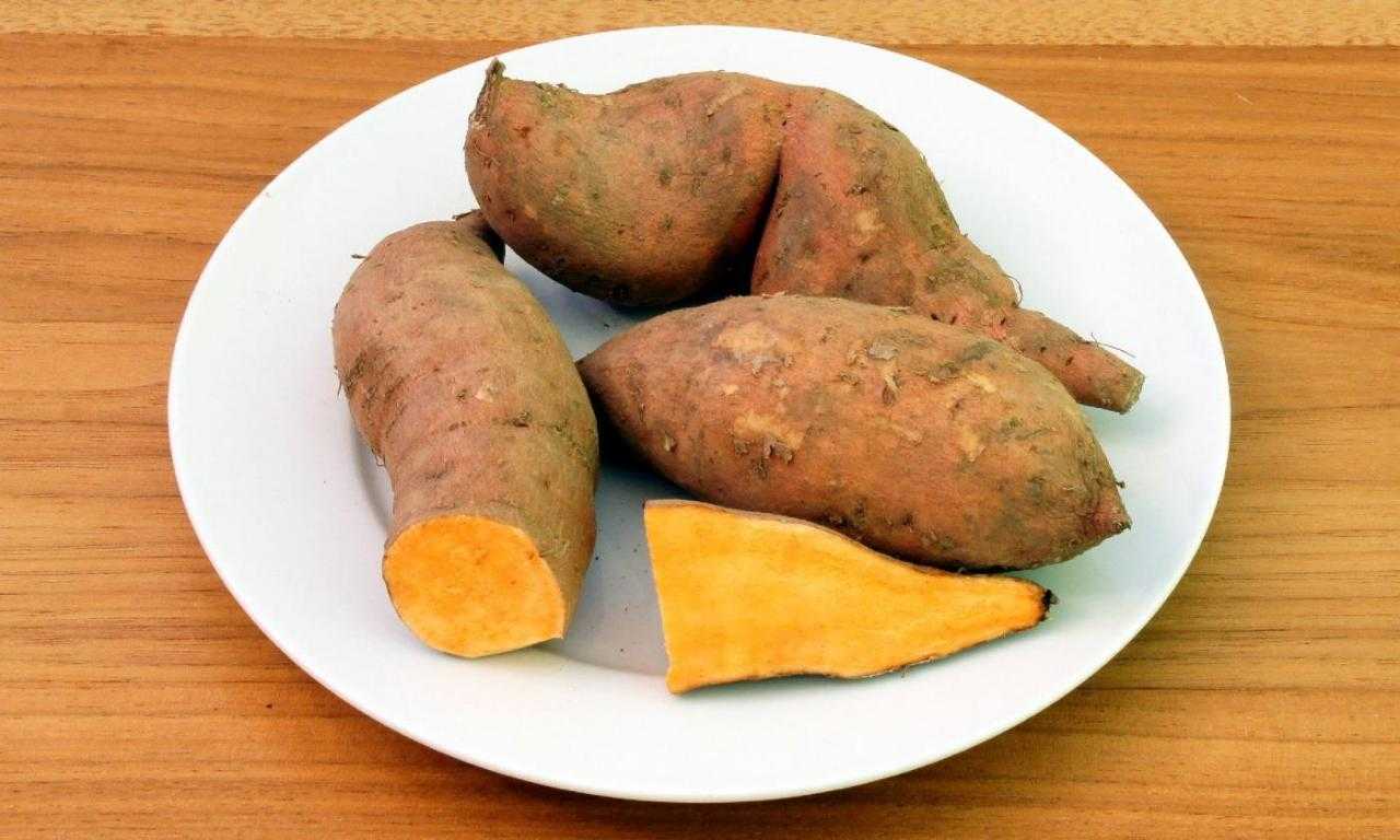Сладкий картофель батат что за овощ описание растения