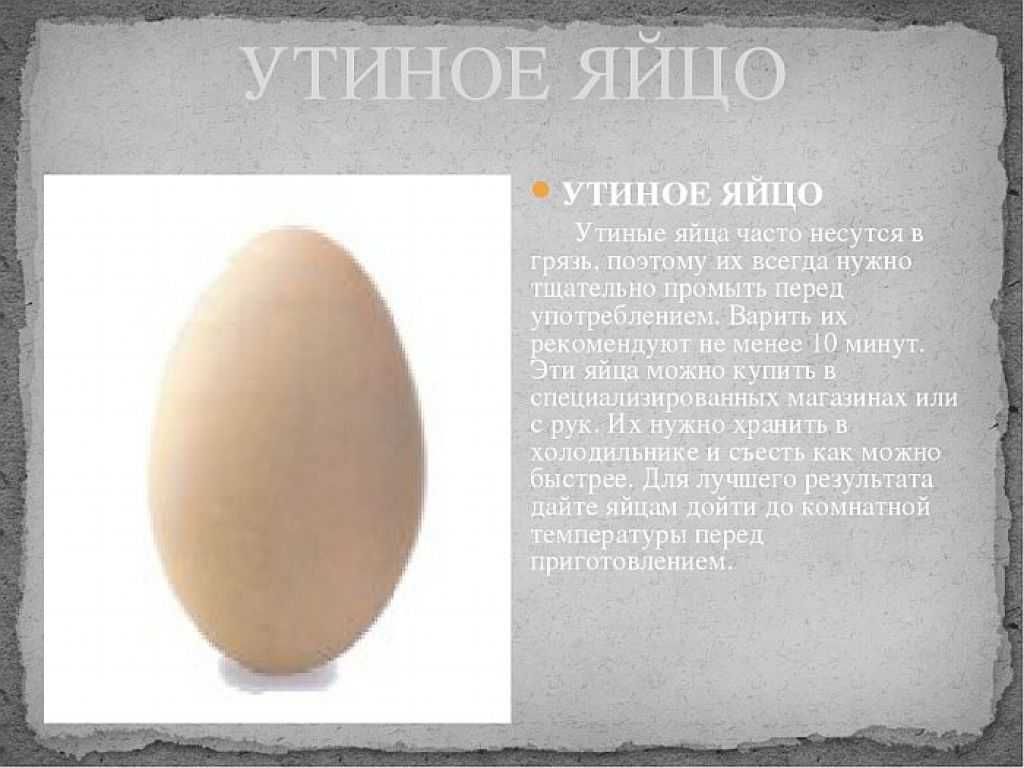 Куриные яйца польза и вред для организма. Утиные яйца. Гусиное и куриное яйцо. Утиное и куриное яйцо. Утиные и гусиные яйца.