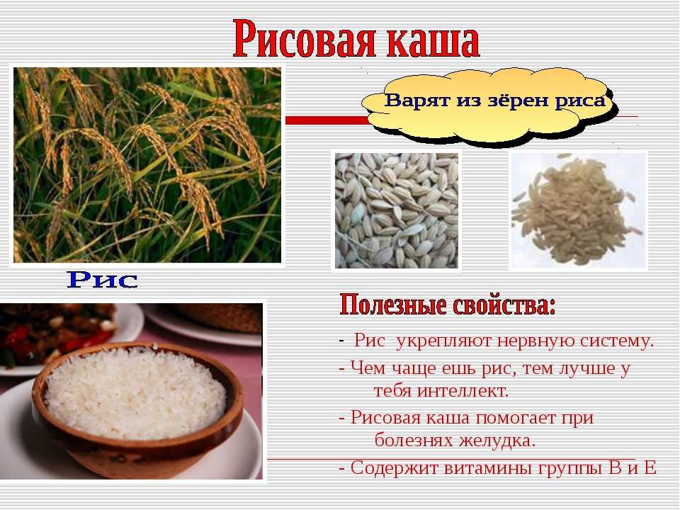 Из какой крупы какую кашу делают из