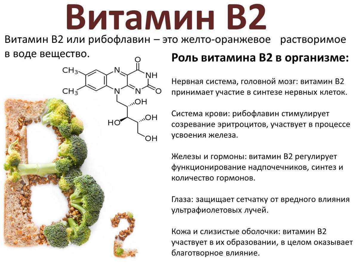 Витамин b2 (рибофлавин) – что это такое и для чего он нужен