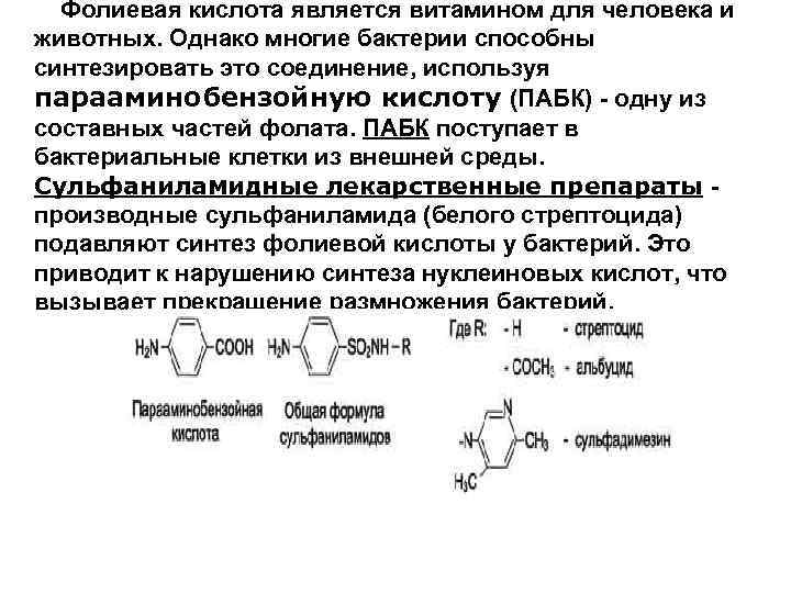 В каких продуктах содержится парааминобензойная кислота (пабк, витамин b10 и h1) больше всего. роль витамина b10 в организме и ежедневная потребность - onwomen.ru