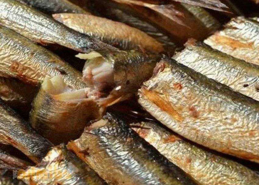 Салака — польза и вред небольшой и вкусной рыбки