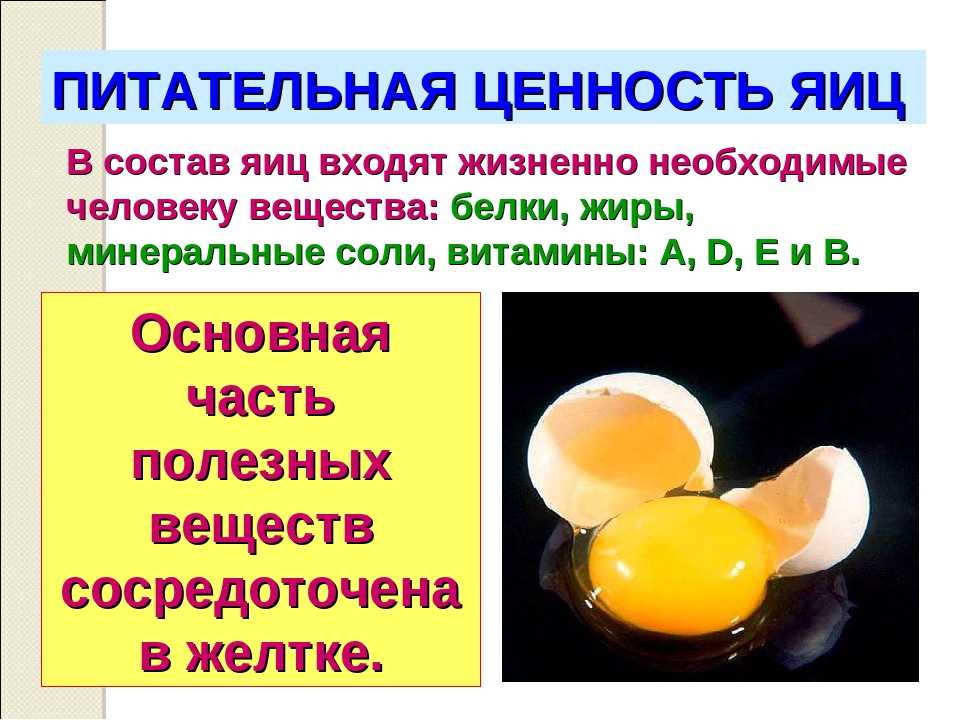 Куриные яйца польза и вред для организма. Питательные вещества в курином яйце. Полезные вещества в яйце курином. Полезные питательные вещества яиц. Ценность куриного яйца.