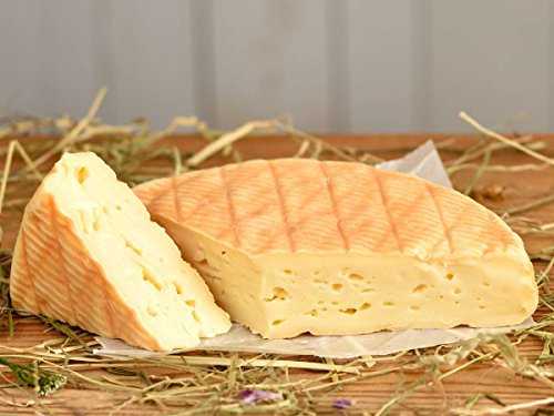 Пармезан – что это за сыр, сколько в нем калорий, полезен ли он нашему организму