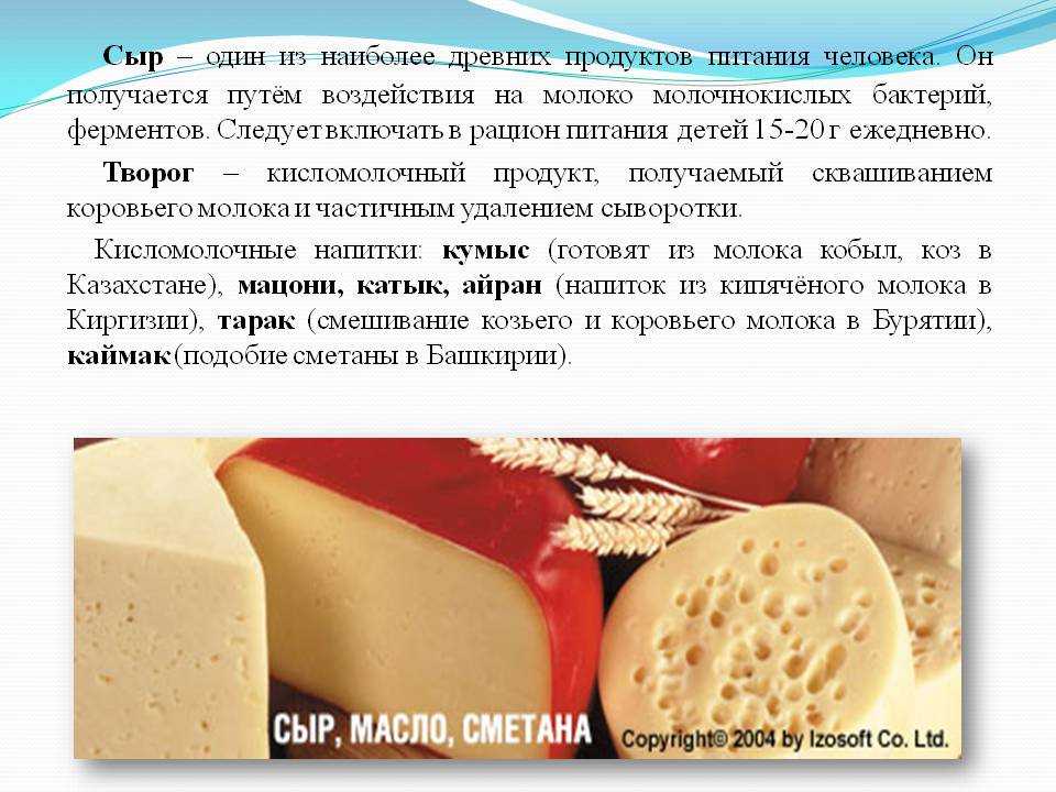 Калорийность сыра - все таблицы состава и пищевой ценности