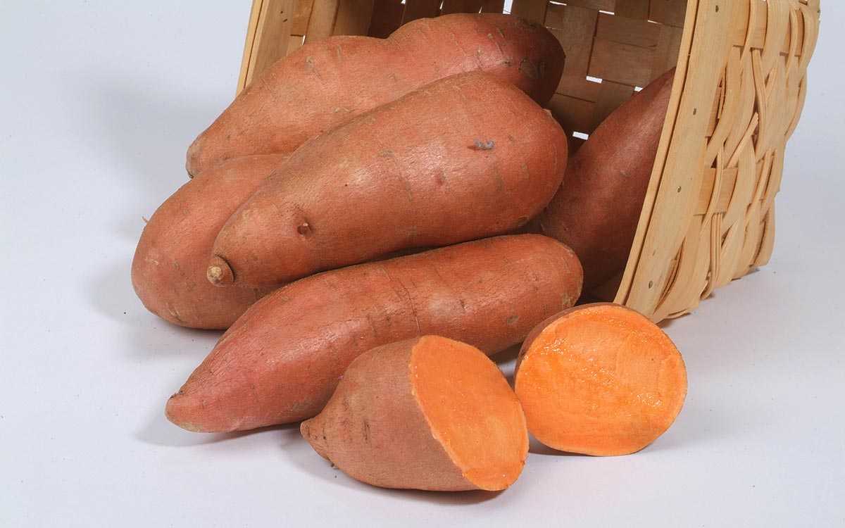 Батат: калорийность на 100 грамм (ккал) печеного и сырого овоща, гликемический индекс (ги), бжу, а также иные параметры химического состава сладкого картофеля