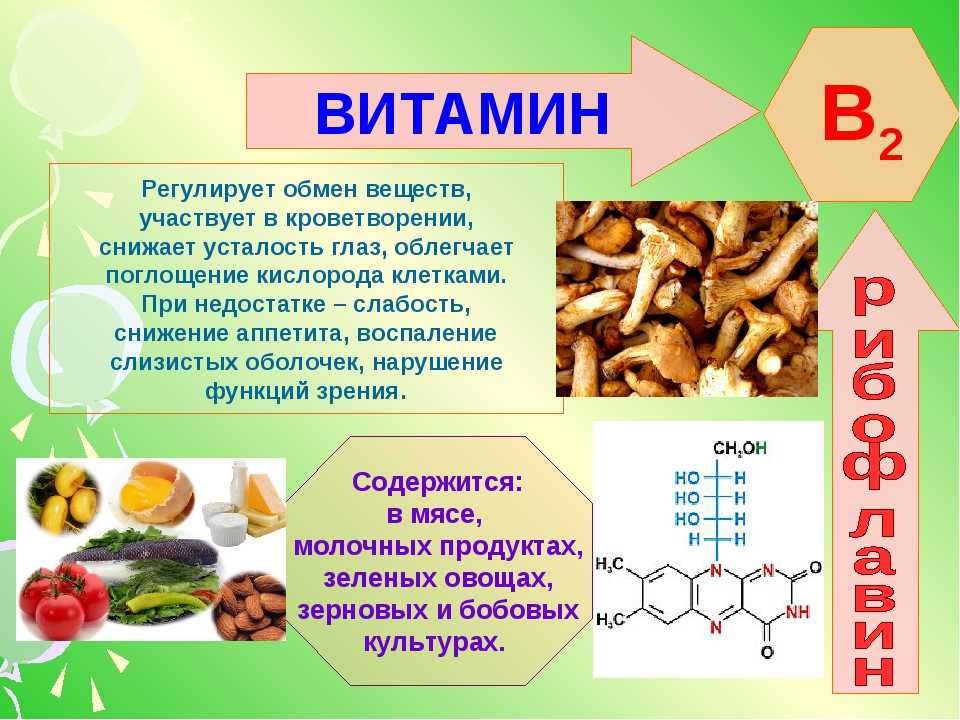 Дефицит витамина b и гипергомоцистеинемия | университетская клиника