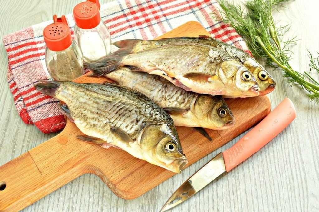 Химический состав и пищевая ценность карася Полезные свойства и калорийность Применение в медицине и кулинарии: рецепты приготовления Правила выбора рыбы