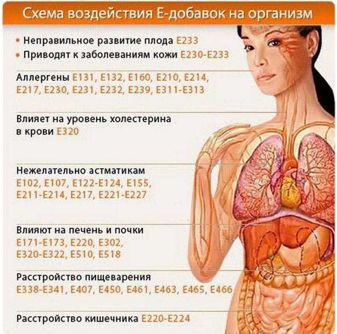 Пищевая добавка е472е: опасна или нет, влияние на организм