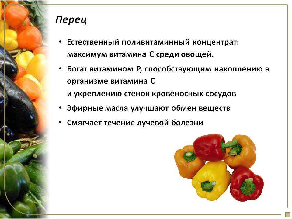 Чем полезен болгарский перец, свойства