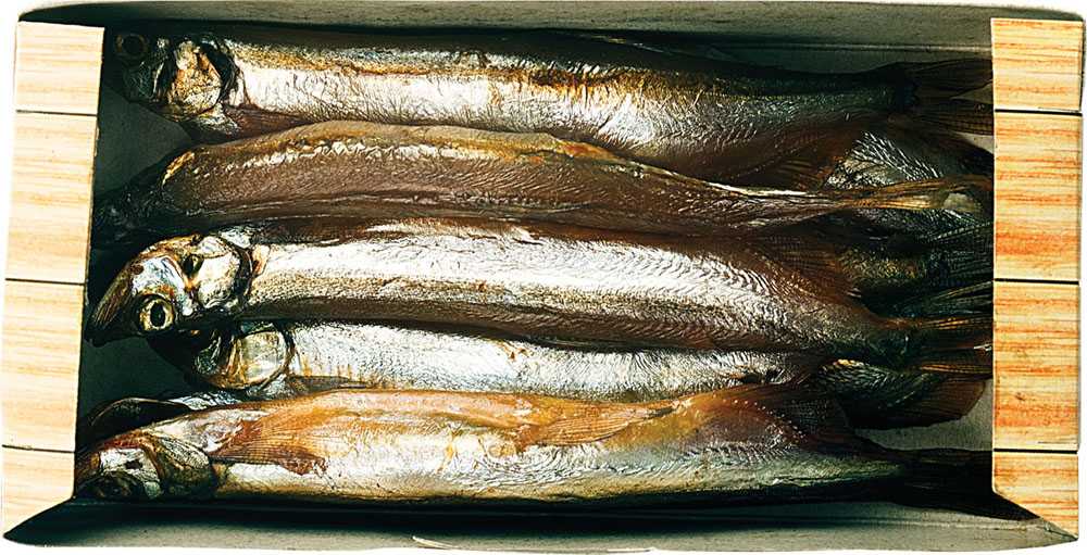 Рыба салака: польза и вред для организма | польза и вред