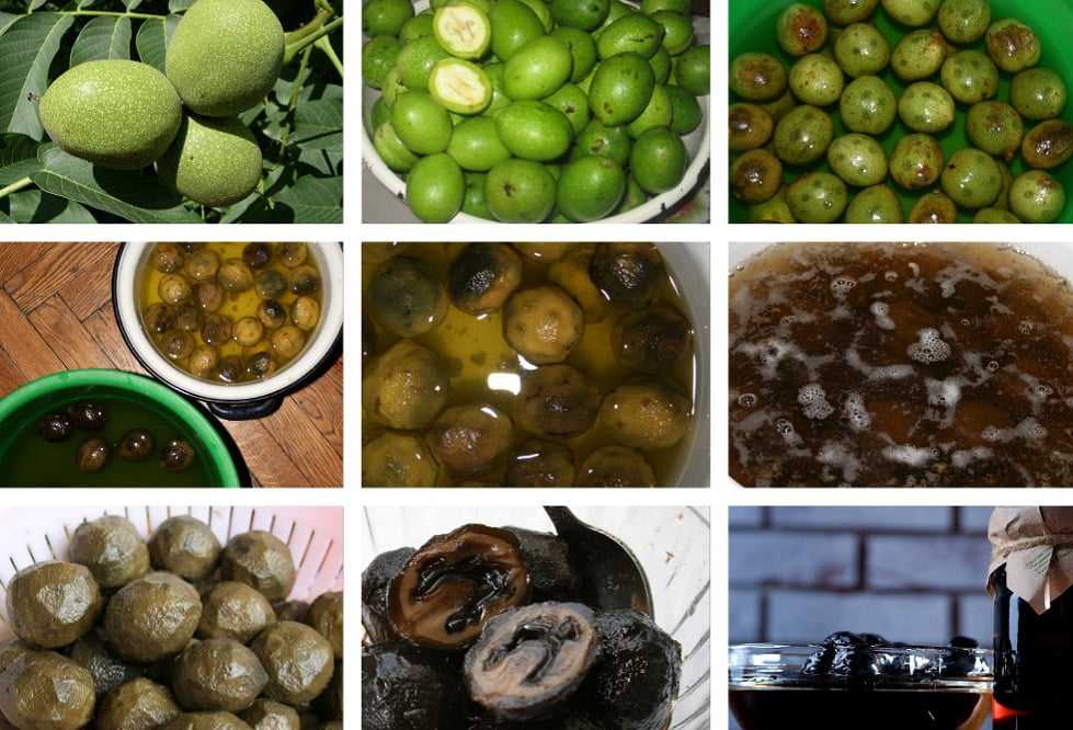 Варенье из зеленых грецких орехов: польза, вред, рецепт приготовления