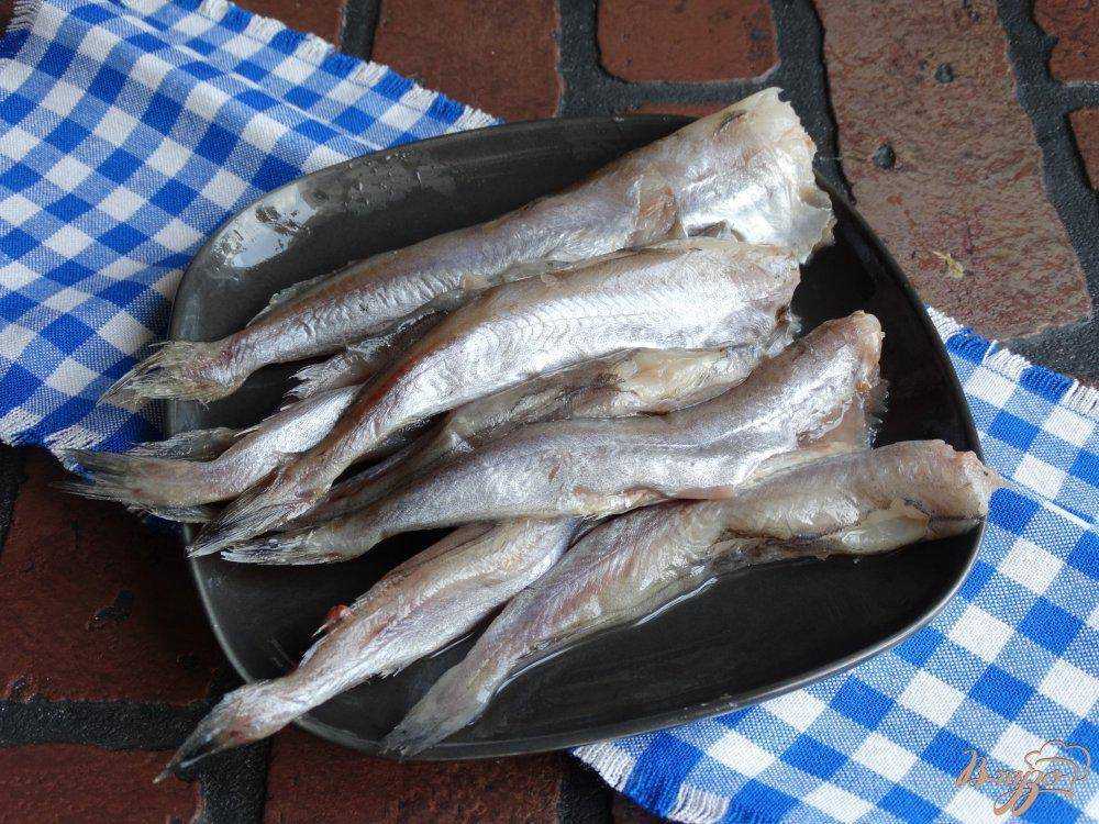Рыба путассу: польза и вред для организма :: syl.ru