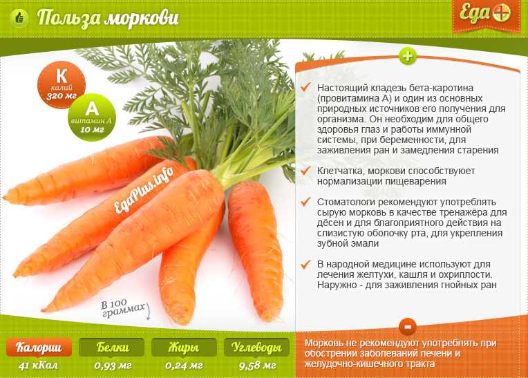 Морковь посевная - полезные свойства и противопоказания. применение, калорийность и фото моркови