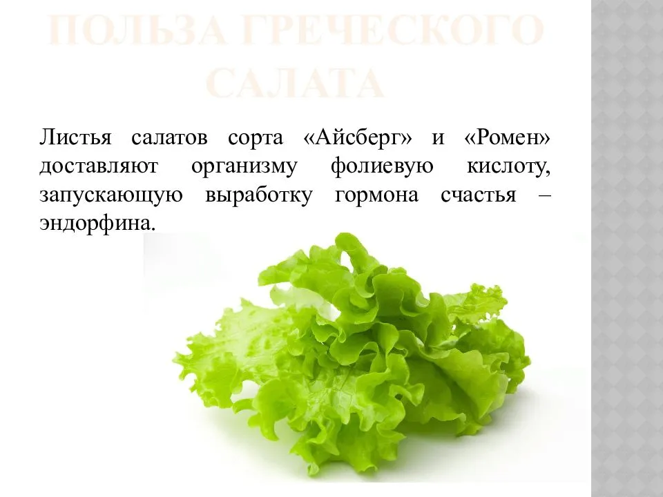 Найти корень у слова салат