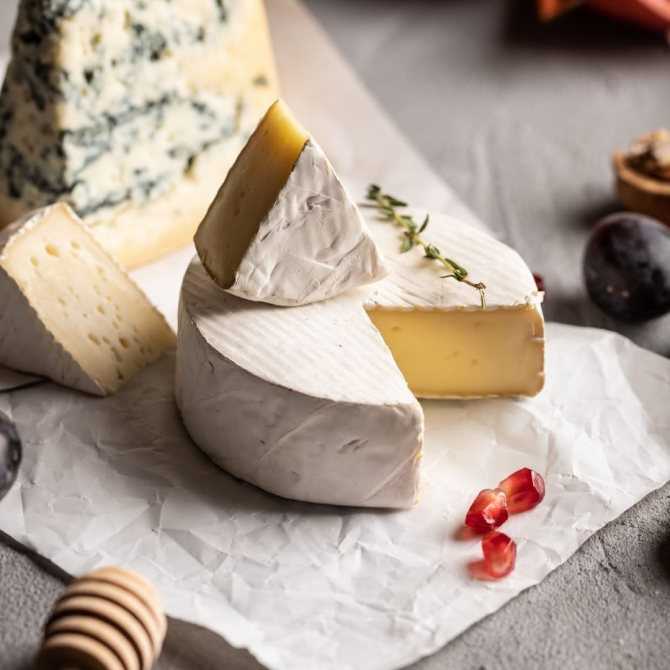 Сыр камамбер: полезные свойства и рецепты с сыром камамбер :: syl.ru