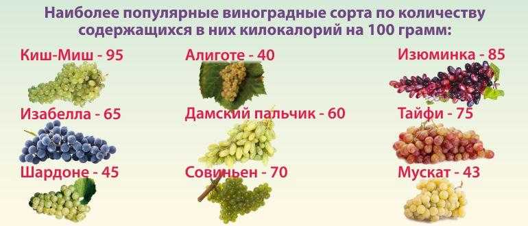 Виноградные листья: рецепты, польза и вред