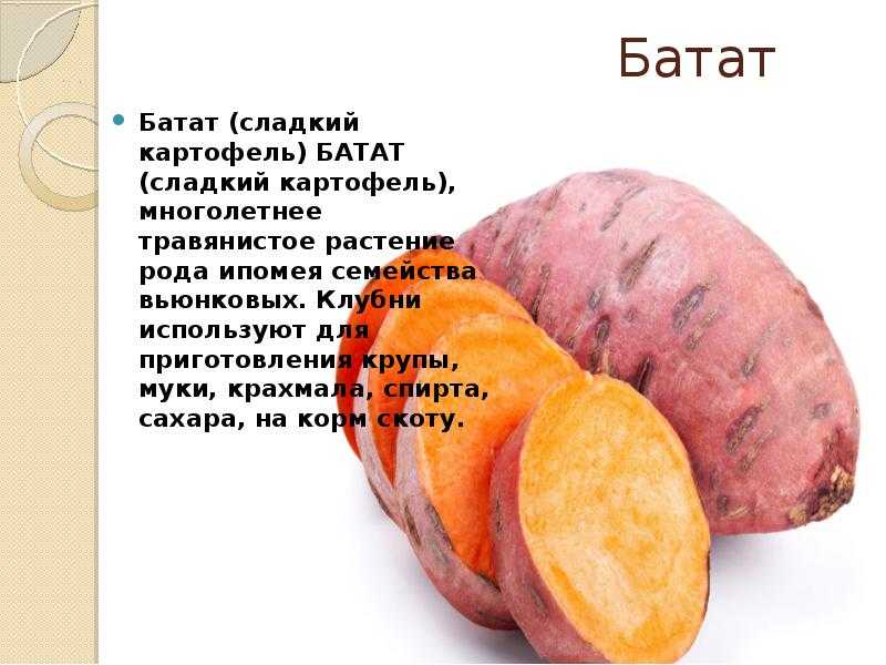 Польза и вред батата, что такое сладкий картофель, и как его лучше есть