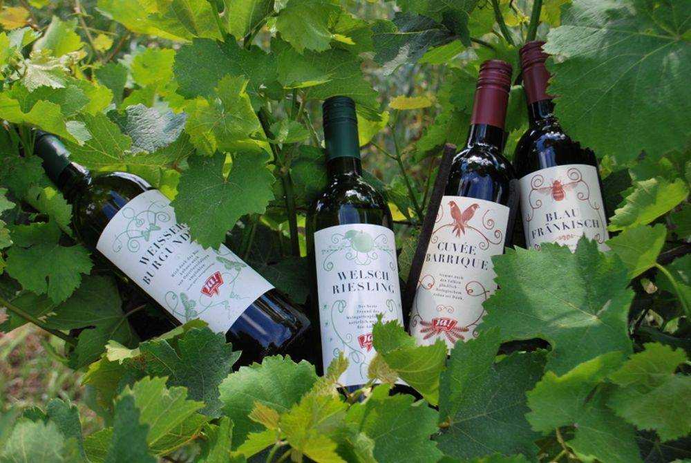 Органика, биодинамика, натуральные вина – что это такое - lf-wines.ru