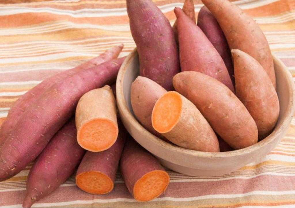Сладкий картофель батат что за овощ описание растения